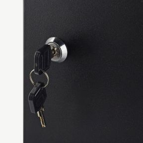 Lumberjack Key Cabinet Secure Storage for 100 Keys with Lock & Adjustable Hooks